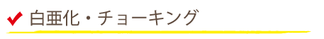 白亜化・チョーキング