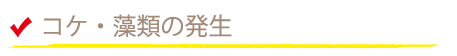 コケ・藻類の発生